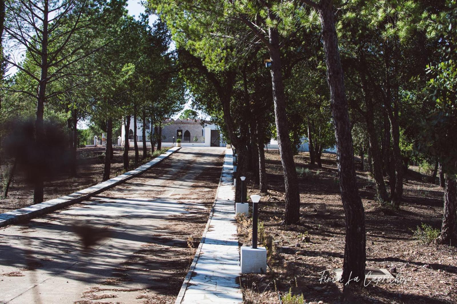Finca La Caprichosa Cortelazor Exteriér fotografie